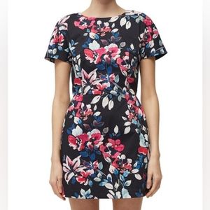 NWT French connection Linosa cotton fitted dress